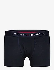 Tommy Hilfiger - 2P TRUNK PRINT - underpants - grid check/desert sky - 2