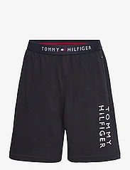 Tommy Hilfiger - SS SHORT PJ SET BASICS - sets mit kurzärmeligem t-shirt - blue spell/desert sky - 3