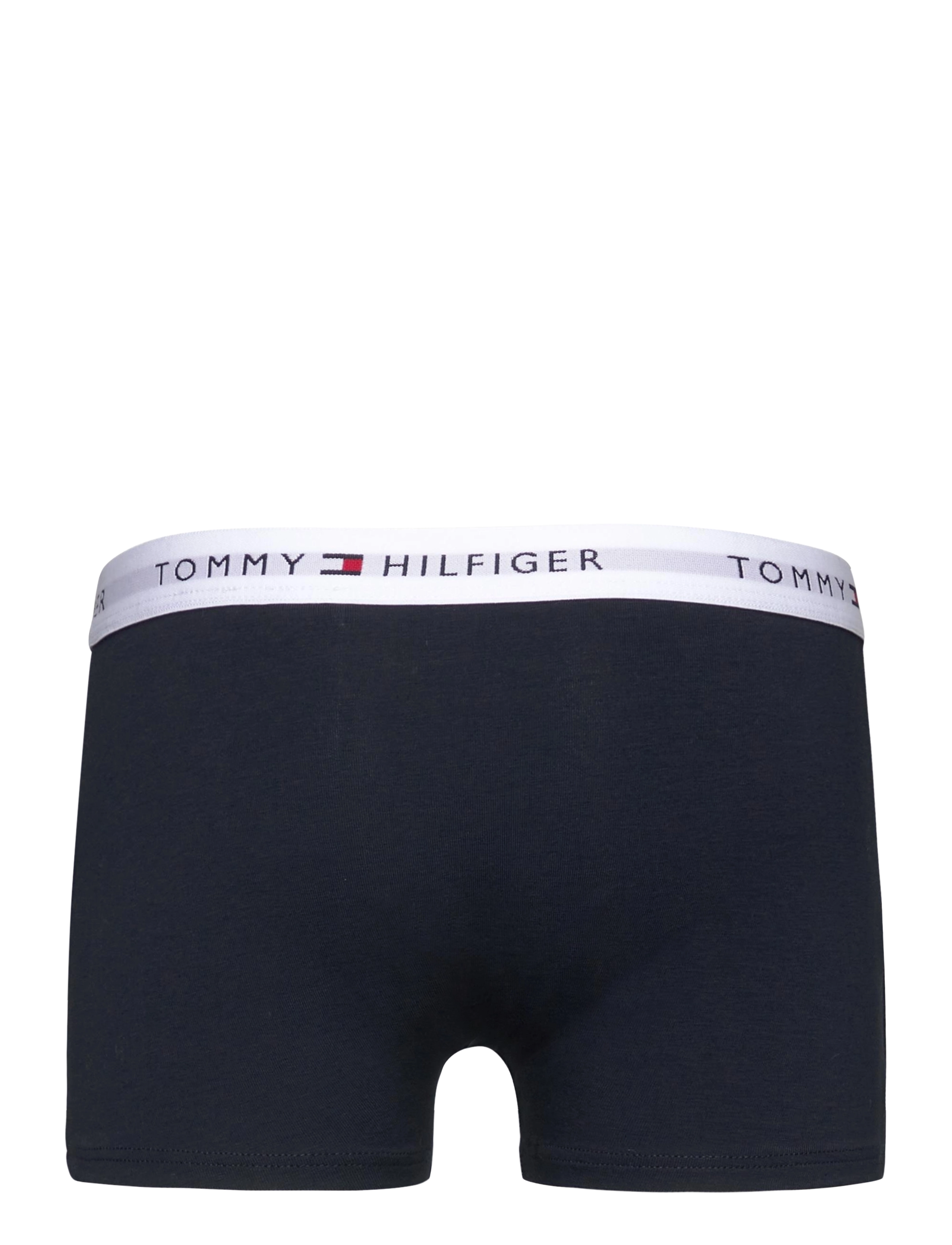 Tommy Hilfiger - 2 PK TRUNK - kalsonger - desert sky desert sky - 4