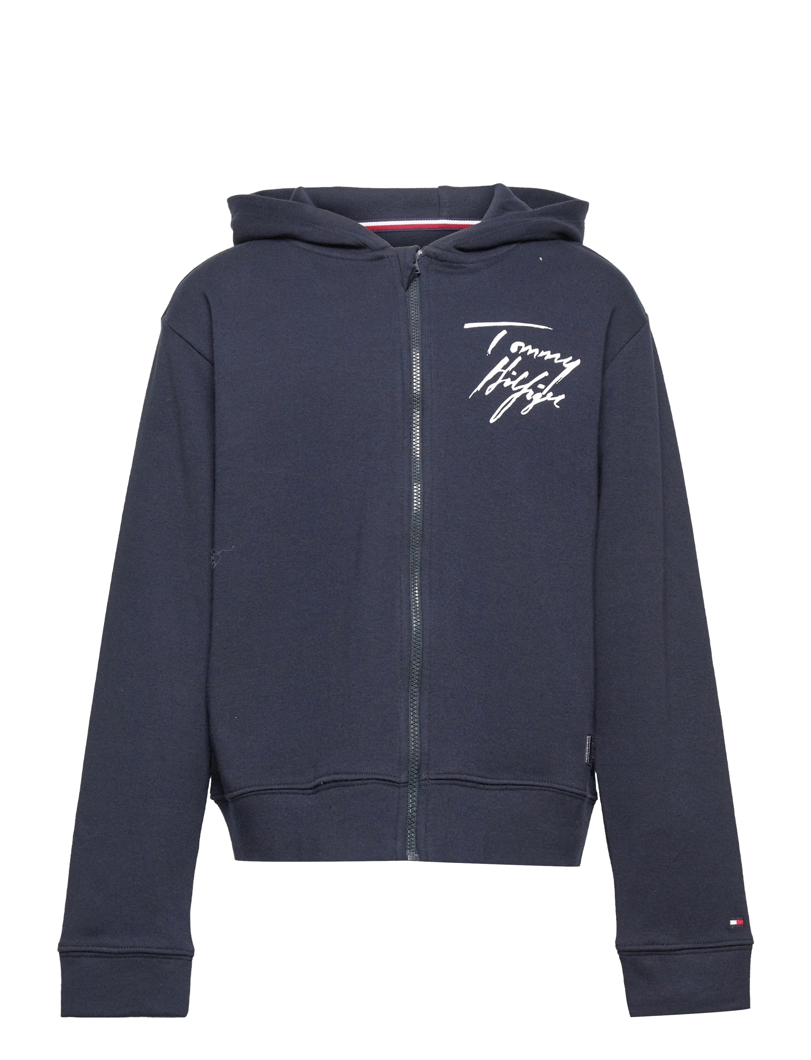 Tommy Hilfiger - FZ HOODIE - desert sky - 0
