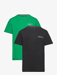 Tommy Hilfiger - 2P SHORT SLEEVE TEE - marškinėliai trumpomis rankovėmis - olympic green/desert sky - 0