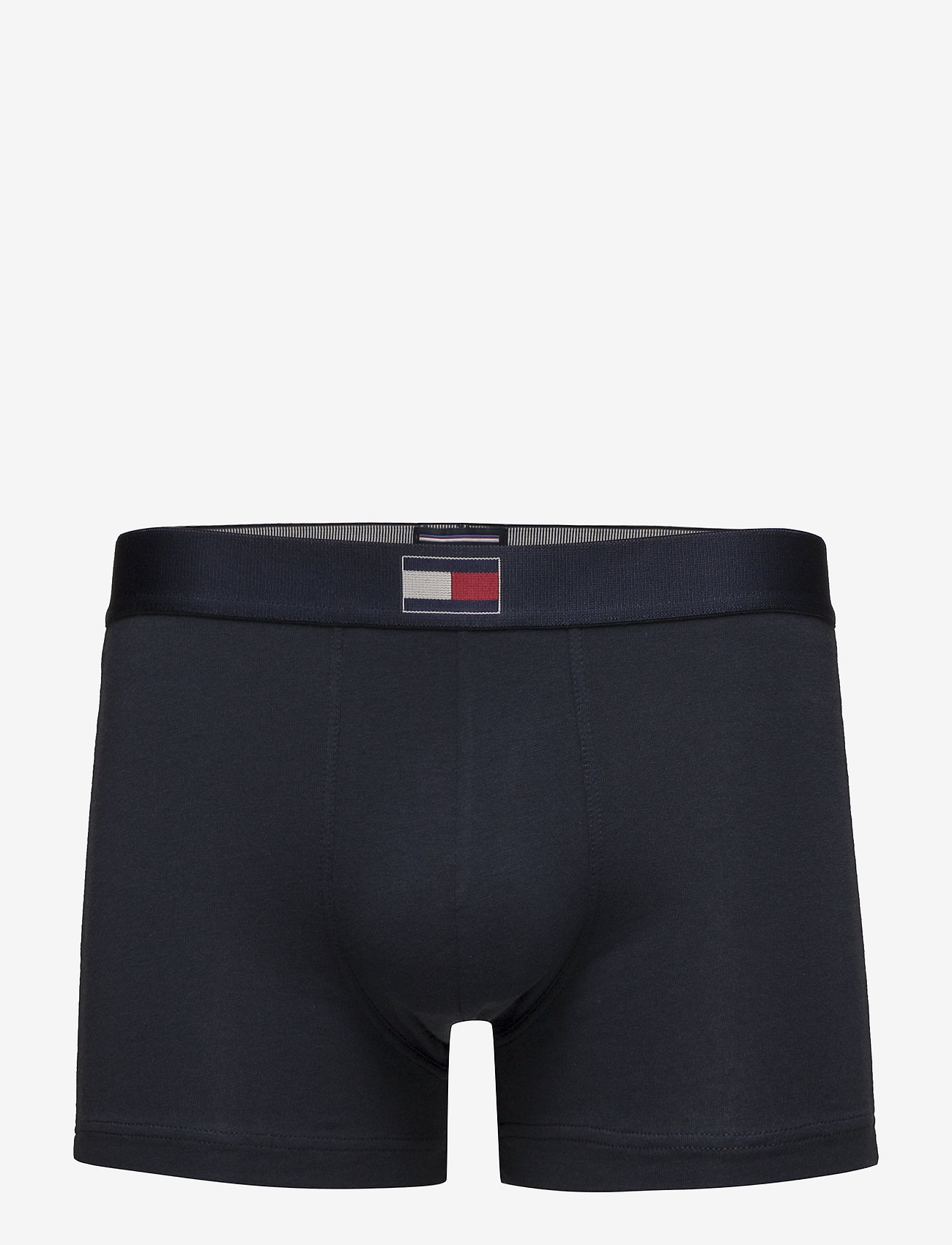 Tommy Hilfiger - TRUNK - navy blazer - 0
