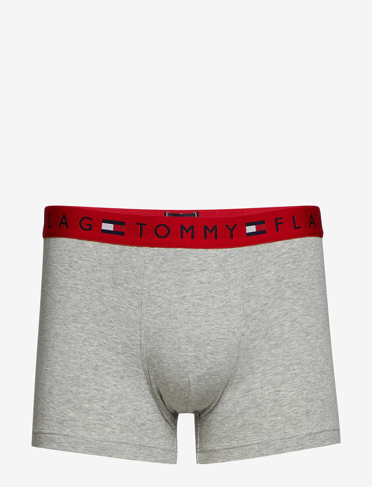 Tommy Hilfiger - TRUNK - grey heather - 0