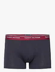 Tommy Hilfiger - 3P WB TRUNK - lowest prices - ds sky/dark ash/rouge - 4