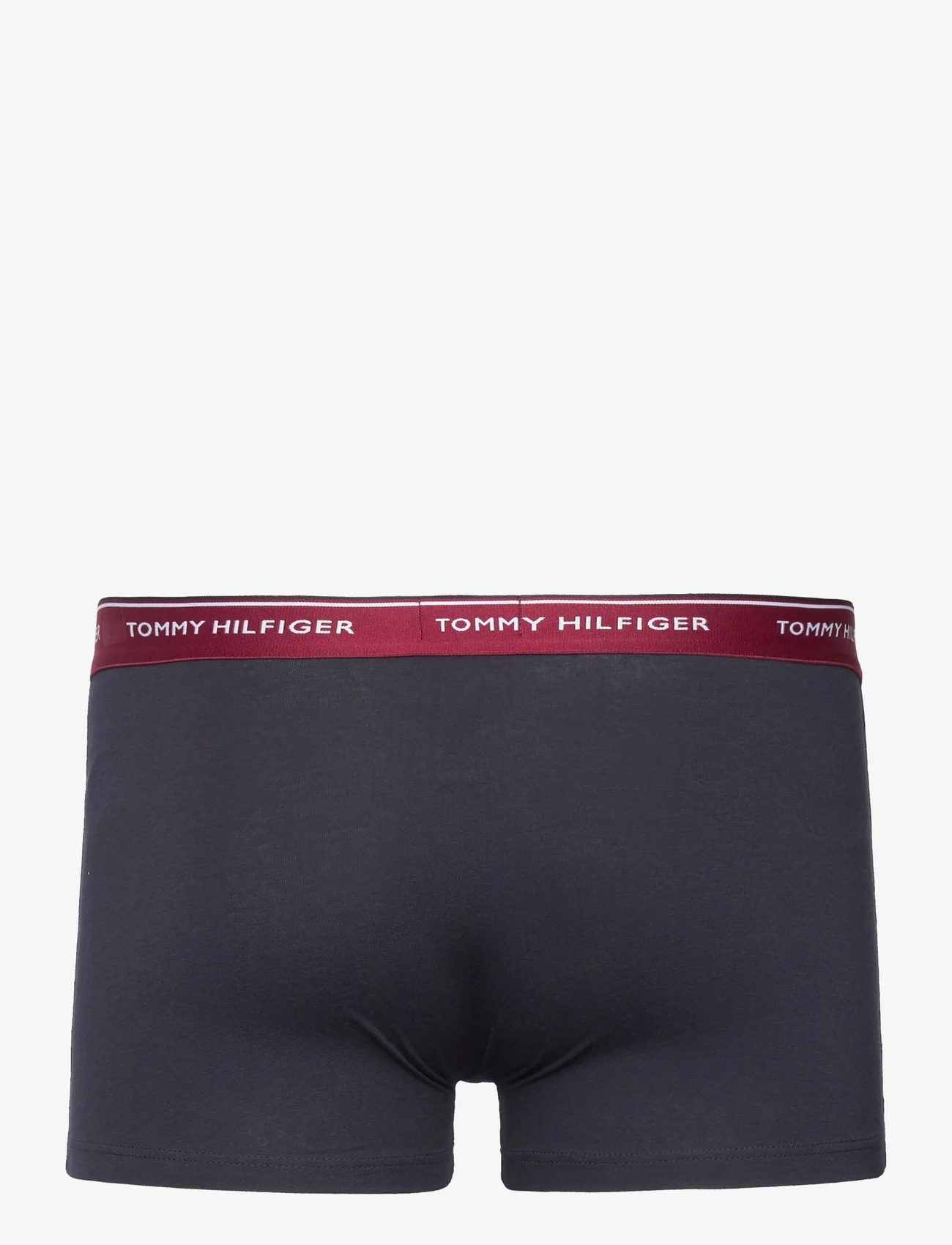 Tommy Hilfiger - 3P WB TRUNK - boxers - ds sky/dark ash/rouge - 5