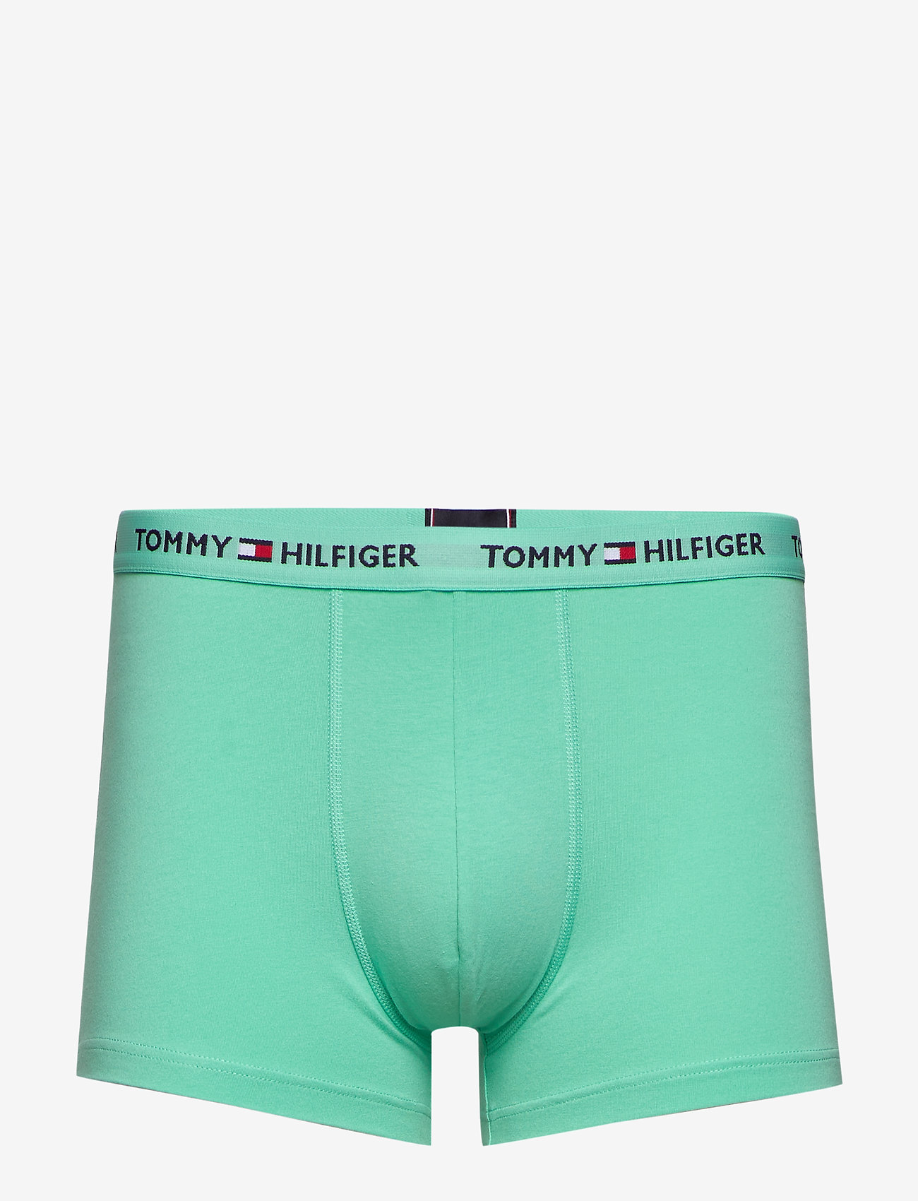 Tommy Hilfiger - TRUNK - cascade - 0