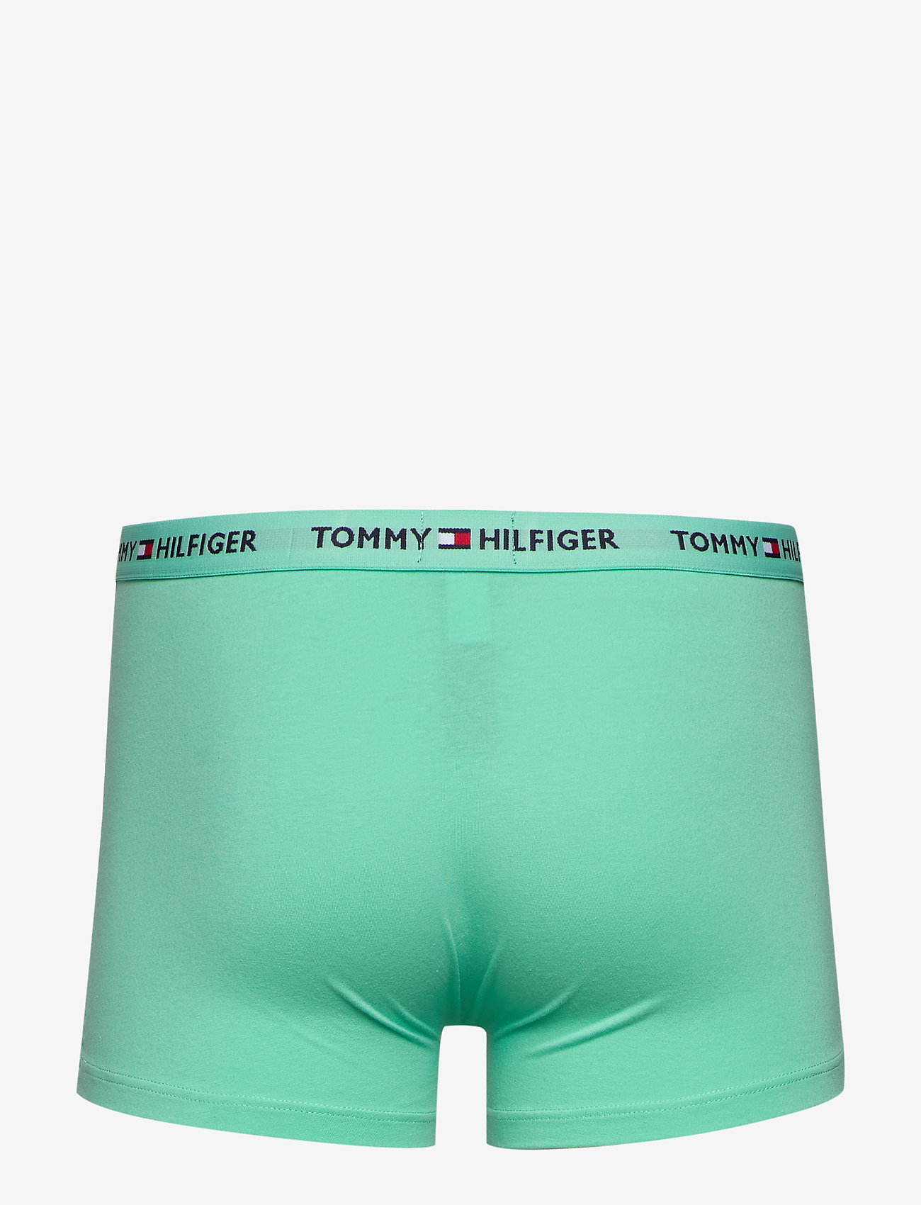 Tommy Hilfiger - TRUNK - cascade - 1