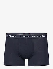 Tommy Hilfiger - 3P TRUNK WB - multipack underpants - desert sky/shocking blue/sunray - 4