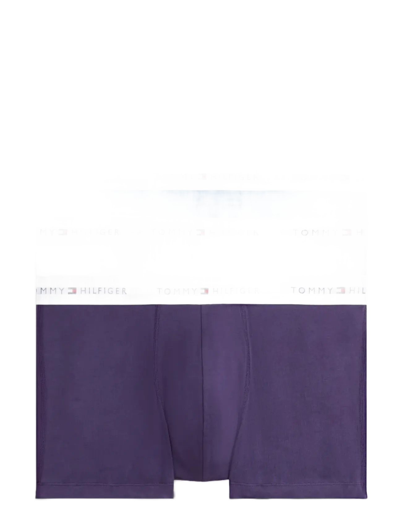 Tommy Hilfiger 3P TRUNK - Underwear - LGT GRY HTH/FRSH BLUBRY/WELL WATER / multi