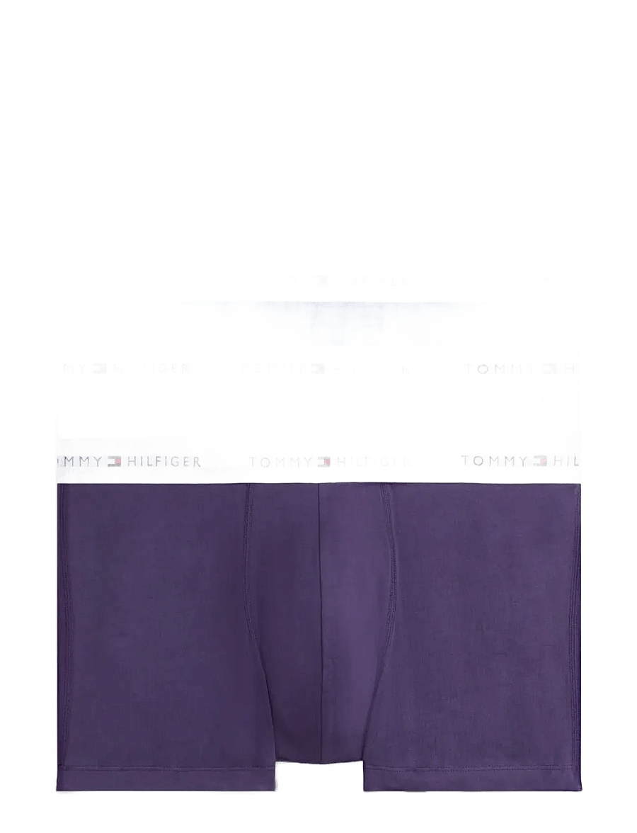 Tommy Hilfiger - 3P TRUNK - multipakk aluspüksid - lgt gry hth/frsh blubry/well water - 1