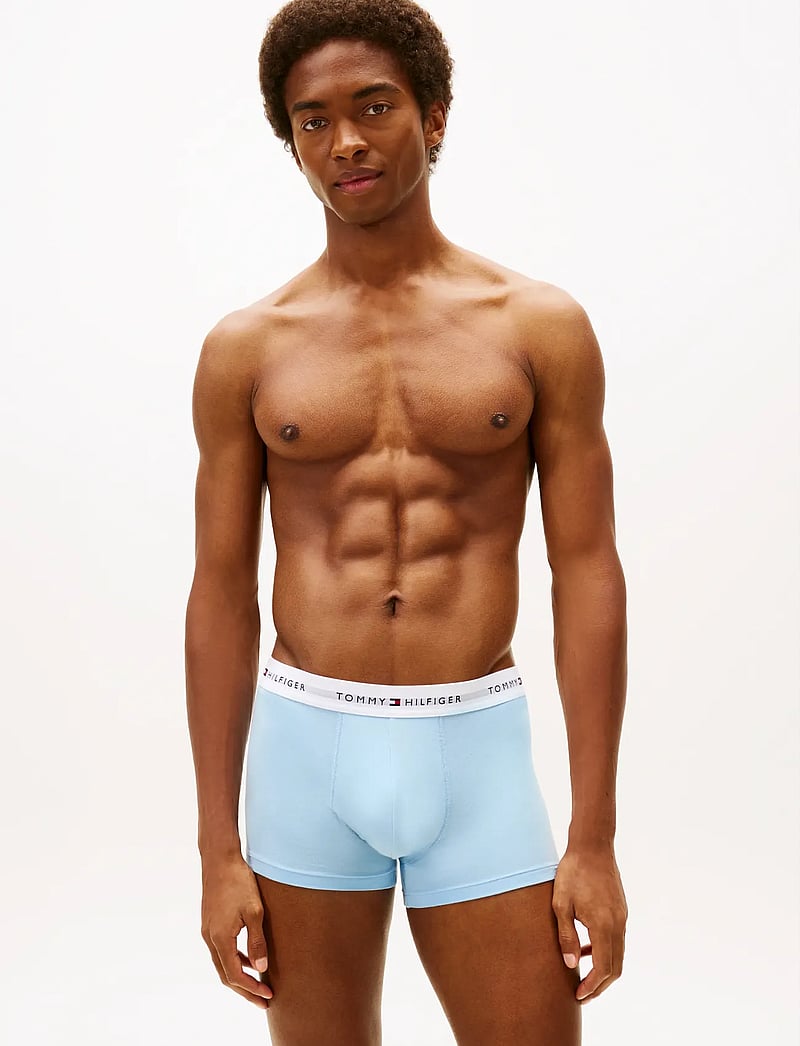 Tommy Hilfiger - 3P TRUNK - multipack kalsonger - lgt gry hth/frsh blubry/well water - 2