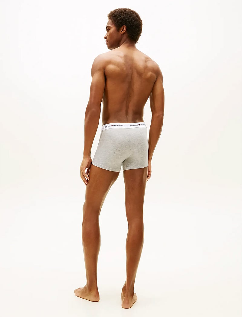 Tommy Hilfiger - 3P TRUNK - multipack kalsonger - lgt gry hth/frsh blubry/well water - 3