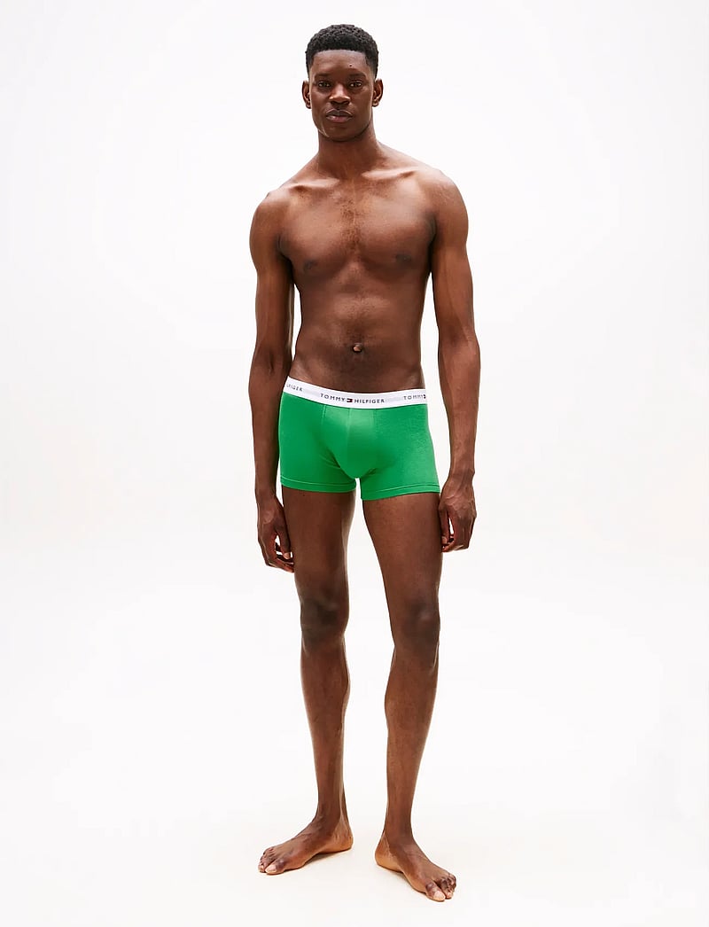 Tommy Hilfiger - 3P TRUNK - multipack underbukser - mint jade/olympic grn/prp nvy - 3