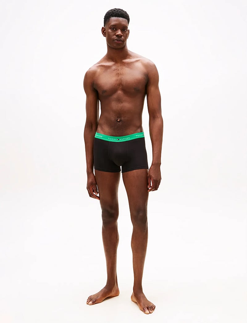 Tommy Hilfiger - 3P WB TRUNK - multipack kalsonger - mint jade/olympic grn/prp nvy - 3