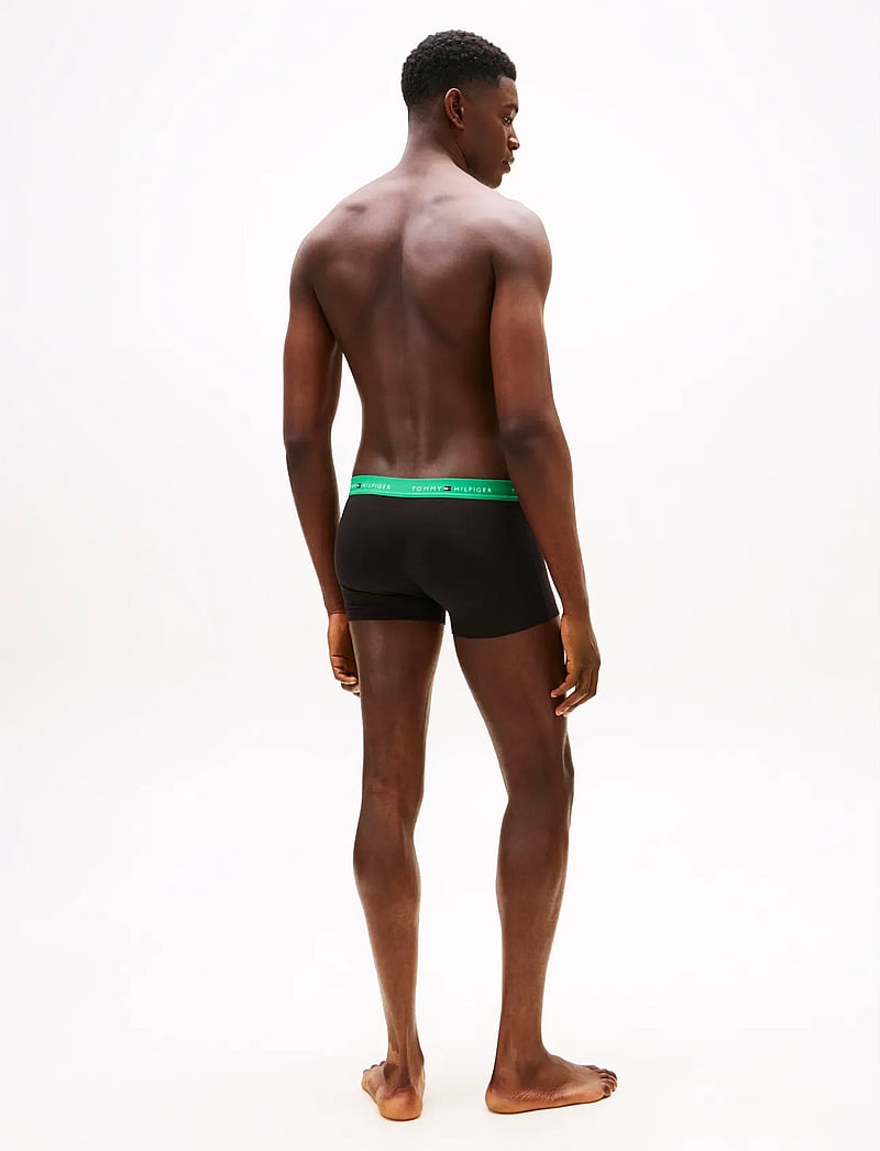 Tommy Hilfiger - 3P WB TRUNK - multipack kalsonger - mint jade/olympic grn/prp nvy - 4