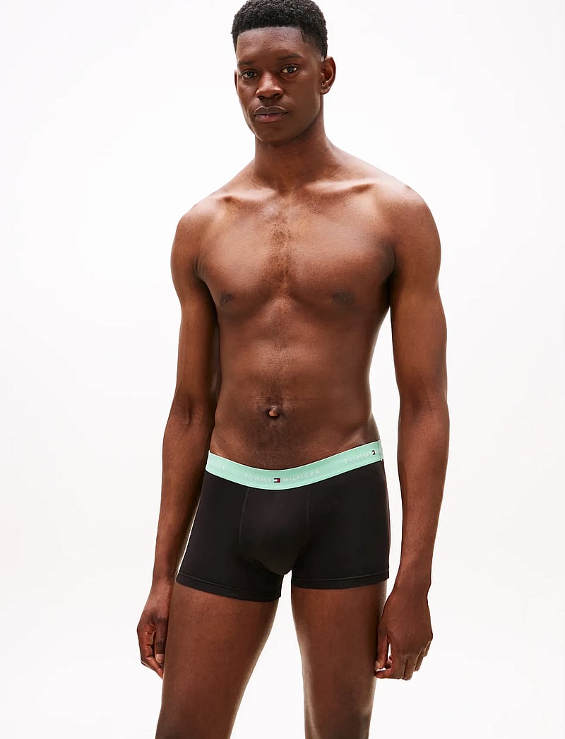 Tommy Hilfiger - 3P WB TRUNK - multipack kalsonger - mint jade/olympic grn/prp nvy - 5