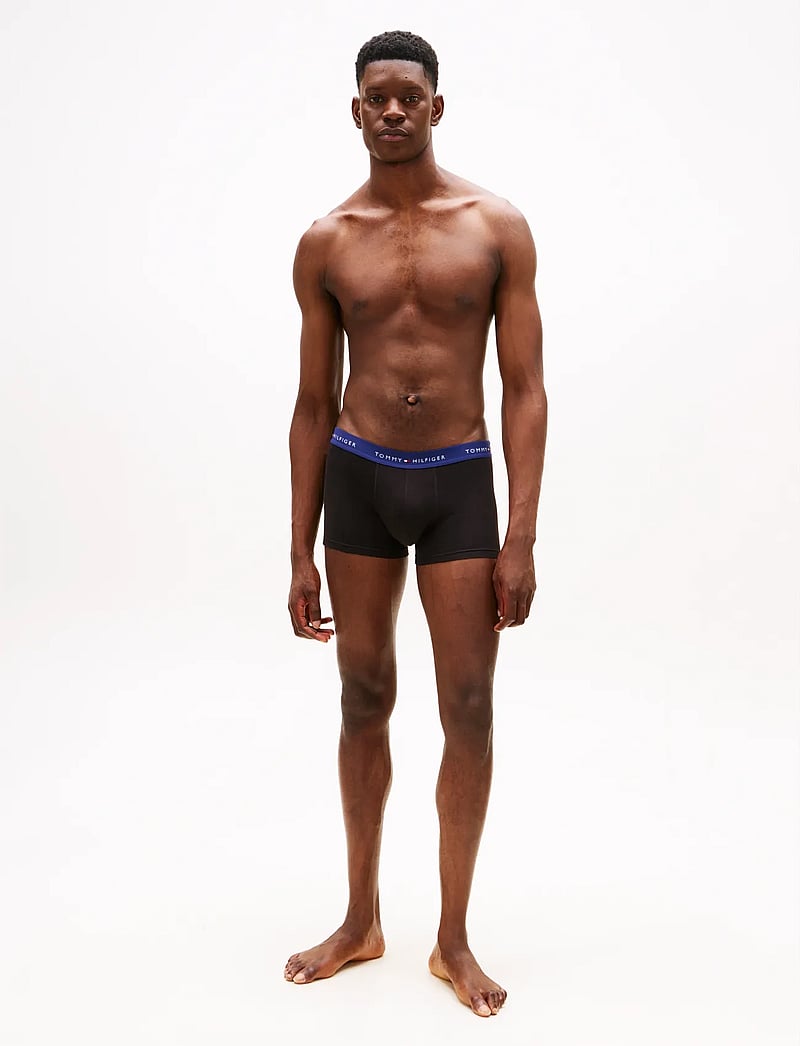 Tommy Hilfiger - 3P WB TRUNK - multipack kalsonger - hghlnd khki/well wtr/prp nvy - 3