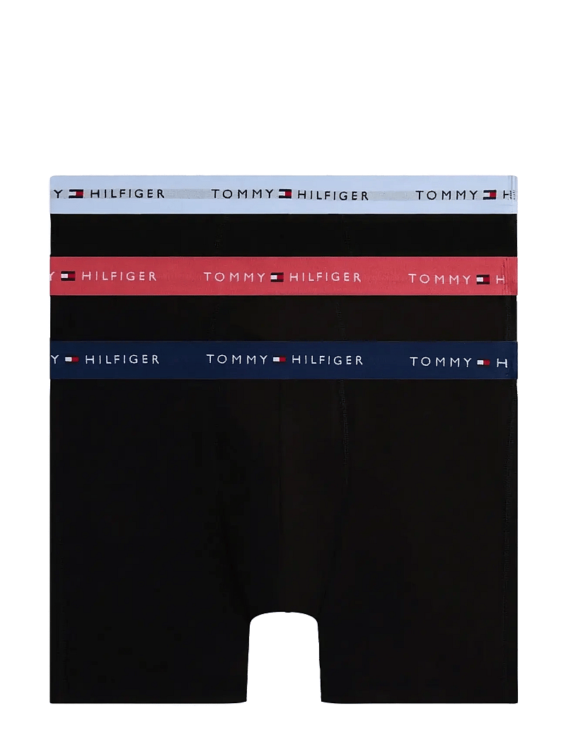 Tommy Hilfiger - 3P BOXER BRIEF WB - multipack underbukser - frs cran swt blu nght sky - 1