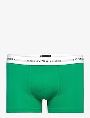 Tommy Hilfiger - 5P TRUNK - trunks - rich oc/des sk/blue sp/des sk/green - 2