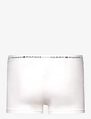 Tommy Hilfiger - 5P TRUNK - trunks - d sky/dp ind/a silver/ frwks/white - 3