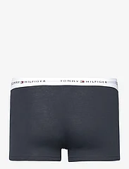 Tommy Hilfiger - 5P TRUNK - boxerkalsonger - d sky/dp ind/a silver/ frwks/white - 7