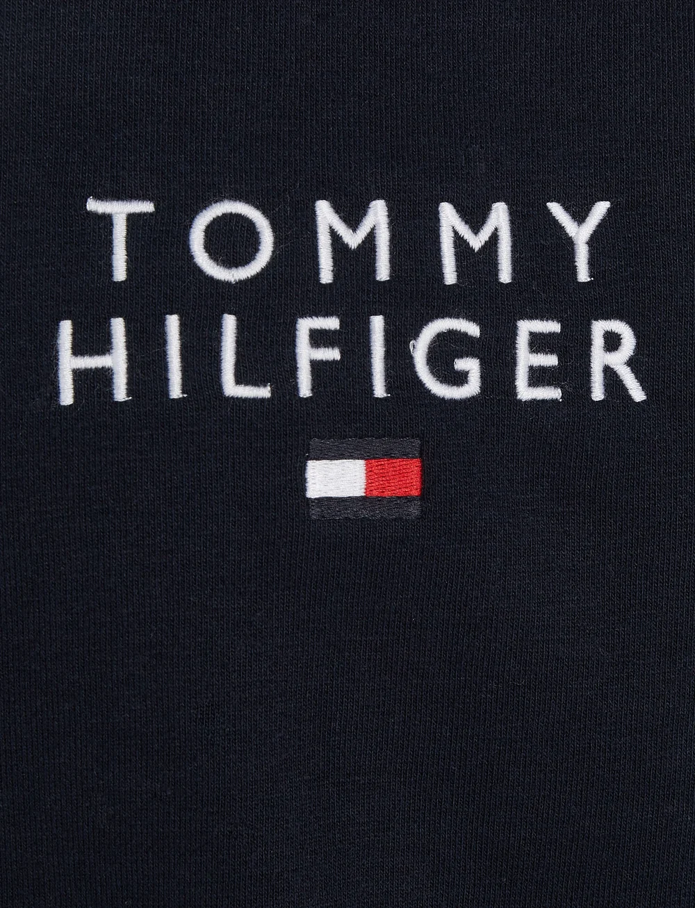 Tommy Hilfiger - TRACK TOP HWK - sweatshirts - desert sky - 3