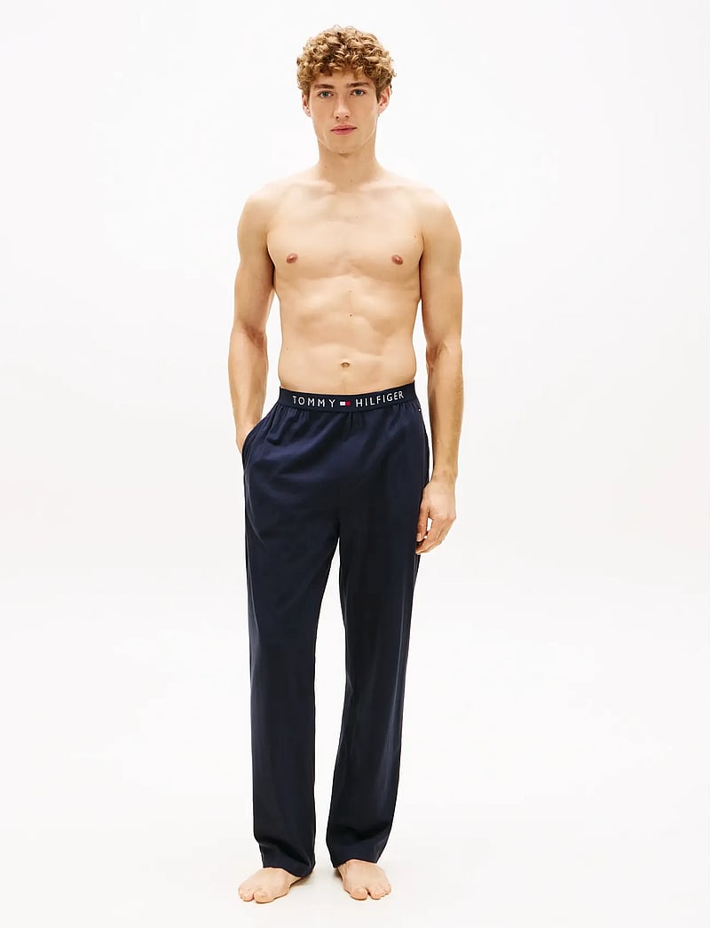 Tommy Hilfiger - JERSEY PANT - pyjamahose - desert sky - 3