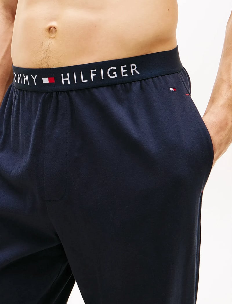 Tommy Hilfiger - JERSEY PANT - pyjamahose - desert sky - 4