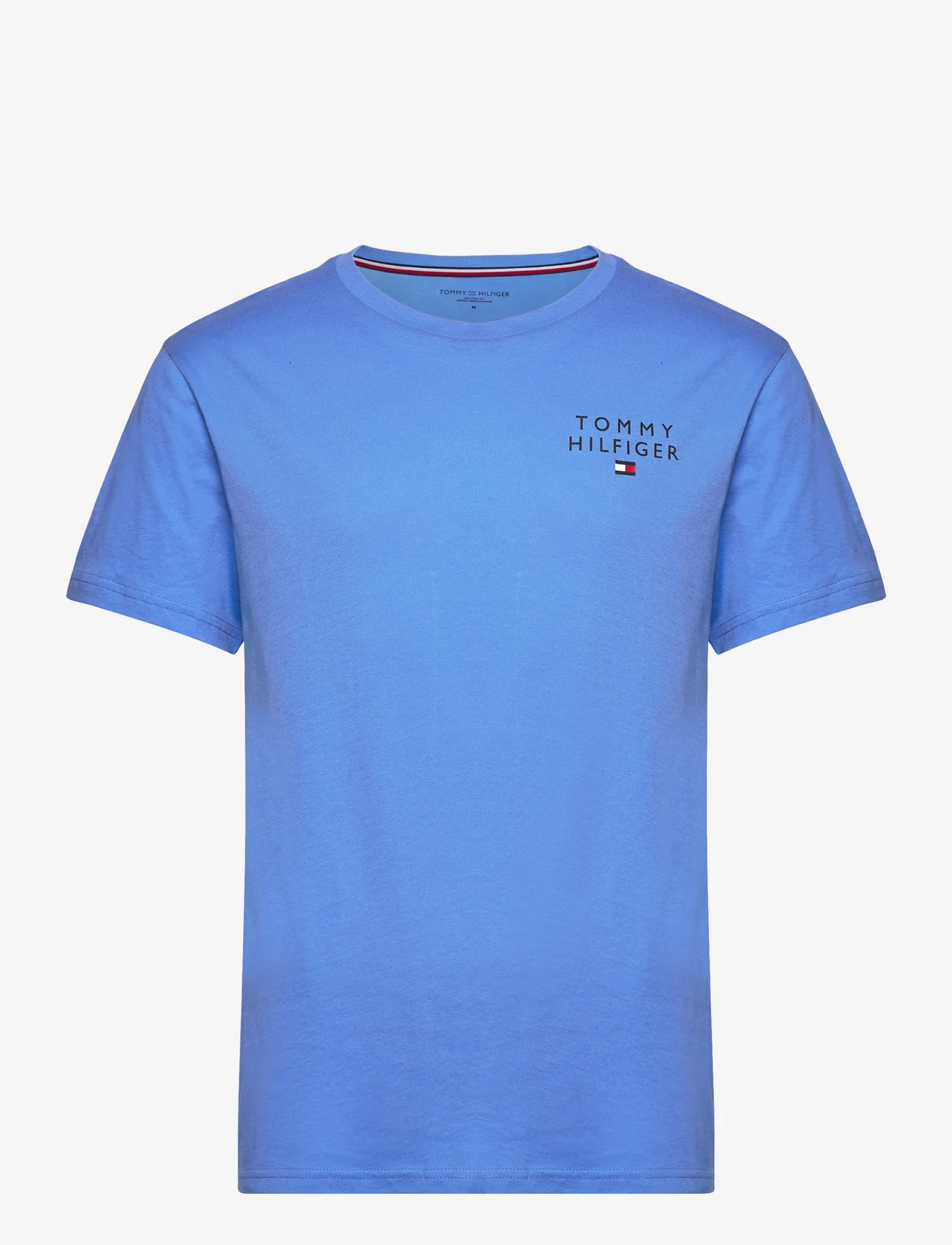 Tommy Hilfiger - CN SS TEE LOGO - basic t-shirts - blue spell - 0