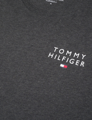 Tommy Hilfiger - CN SS TEE LOGO - basic t-shirts - dark grey ht - 2