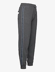 Tommy Hilfiger - HWK TRACK PANT - pyjama bottoms - dark grey ht - 3