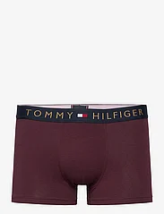 Tommy Hilfiger - 5P TRUNK GOLD WB - trunks - des sky/rouge/spruce/burg/des sky - 6