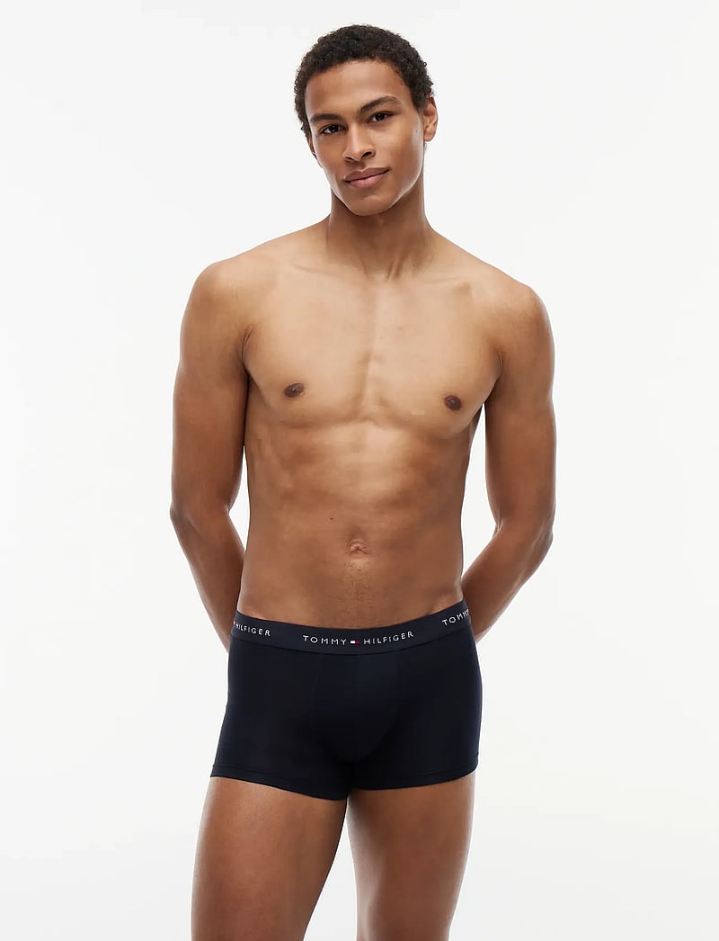 Tommy Hilfiger - 5P TRUNK WB - lot de sous-vêtements - des sky antique silver white - 1