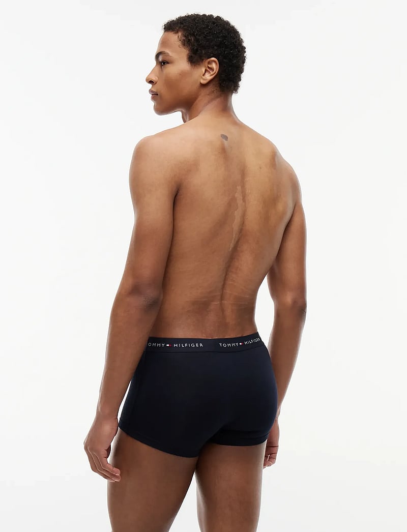 Tommy Hilfiger - 5P TRUNK WB - lot de sous-vêtements - des sky antique silver white - 3