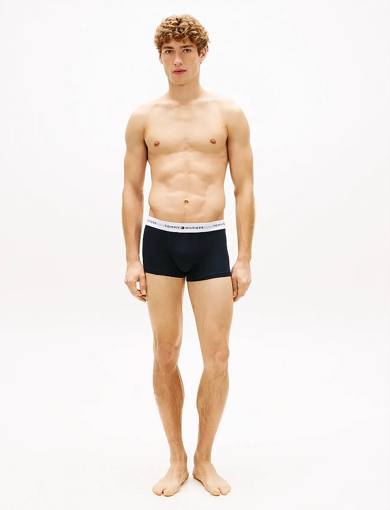 Tommy Hilfiger - 5P TRUNK WB - multipack underbukser - des sky antique silver white - 3