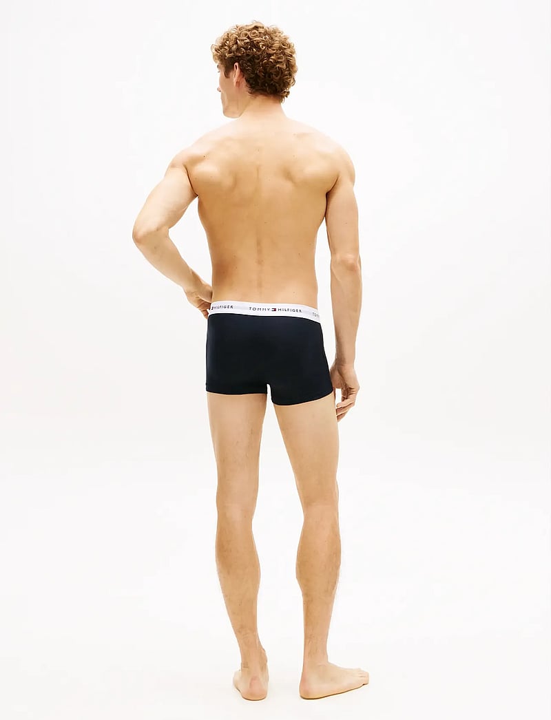 Tommy Hilfiger - 5P TRUNK WB - multipack underbukser - des sky antique silver white - 5