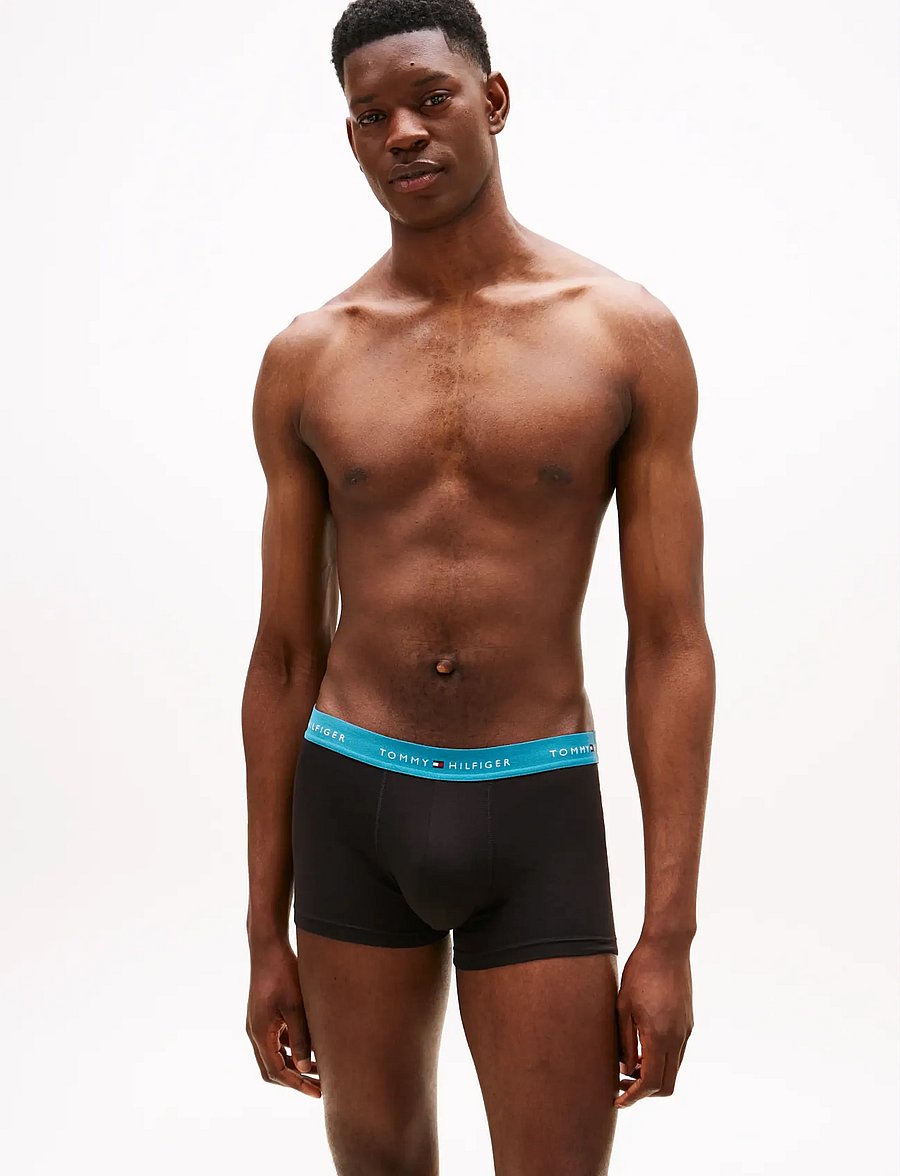 Tommy Hilfiger - 5P TRUNK WB - boxer briefs - fm ocn drk ash des sk blk w - 0