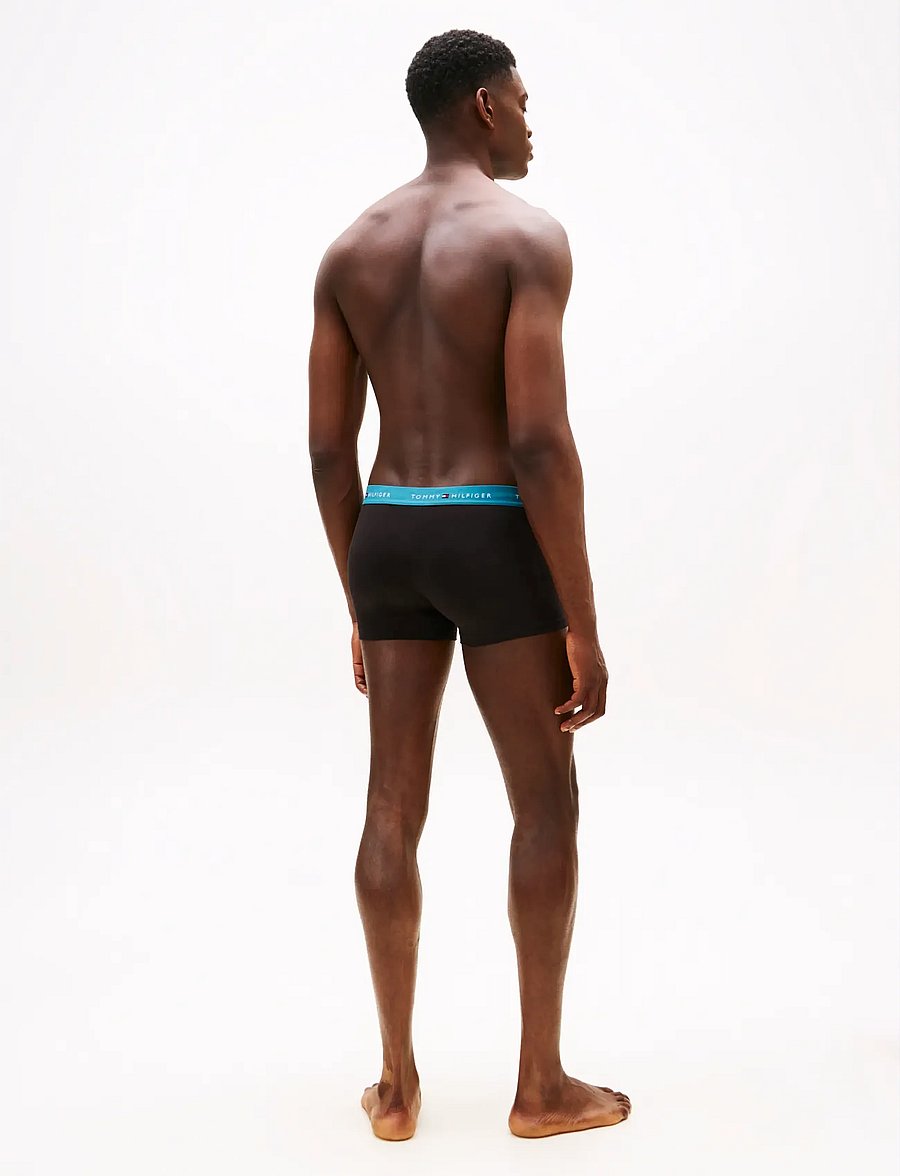 Tommy Hilfiger - 5P TRUNK WB - boxer briefs - fm ocn drk ash des sk blk w - 4