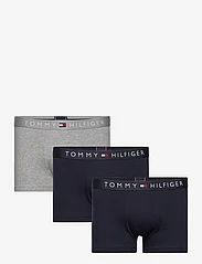 Tommy Hilfiger - 3P TRUNK WB - boxer briefs - des sky/grey htr/des sky - 0