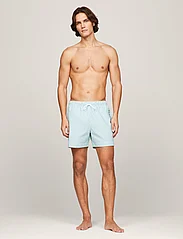 Tommy Hilfiger - MEDIUM DRAWSTRING STRIPE - swim shorts - ithaca white / olympic green - 4