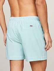 Tommy Hilfiger - MEDIUM DRAWSTRING STRIPE - badeshorts - ithaca white / olympic green - 5