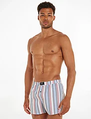 Tommy Hilfiger - 3P WOVEN BOXER PRINT - boxershorts - global str/spaced ithaca/des sky - 1
