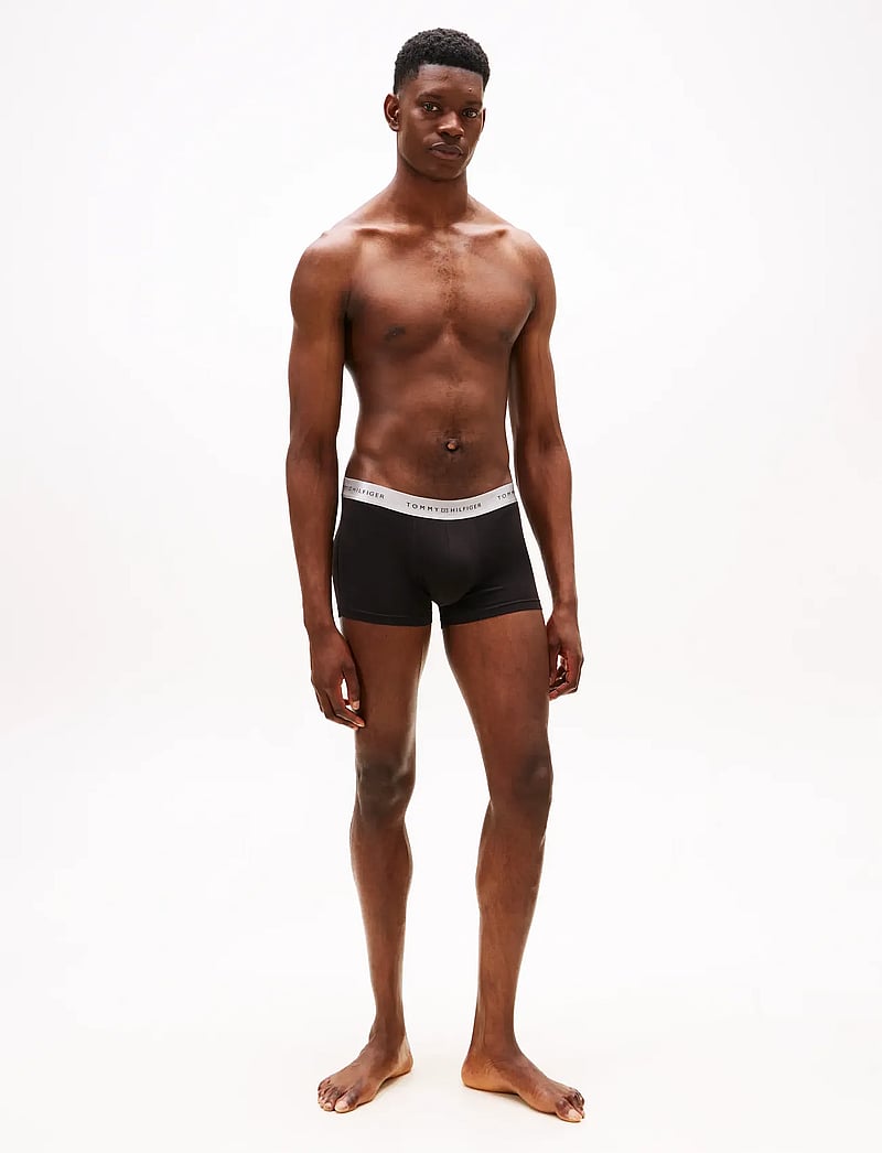 Tommy Hilfiger - 3P TRUNK METALLIC WB - aluspükste mitmikpakk - blk/des sky/silver - 3