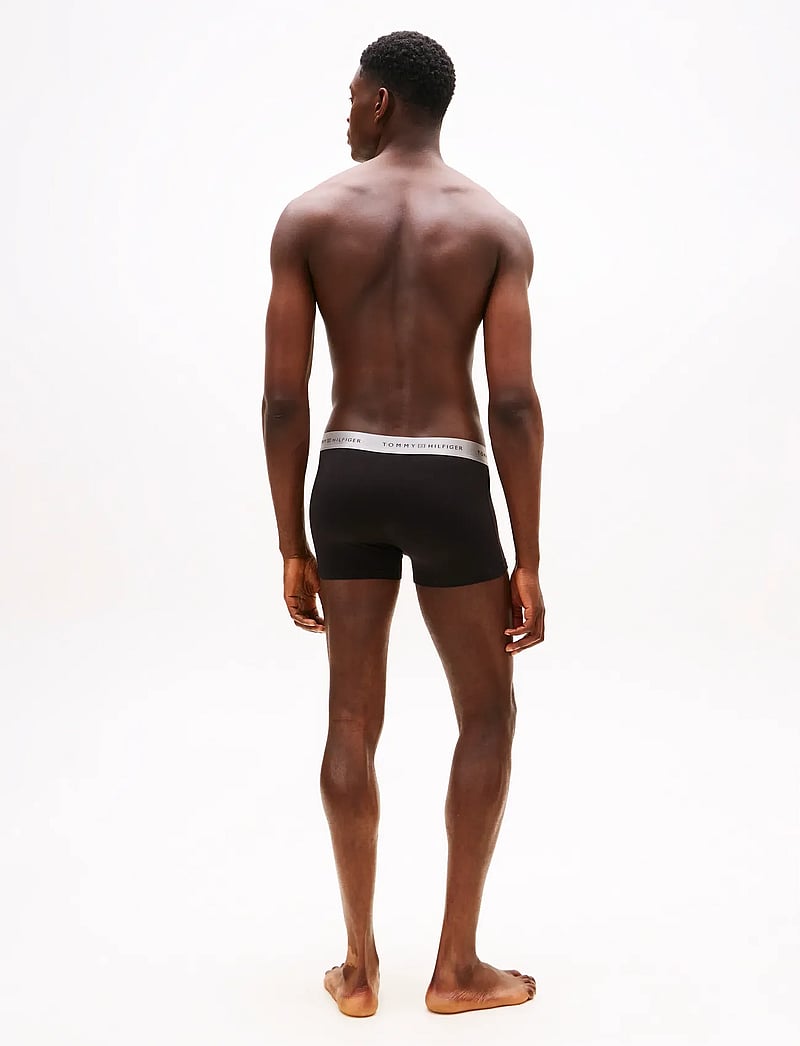 Tommy Hilfiger - 3P TRUNK METALLIC WB - aluspükste mitmikpakk - blk/des sky/silver - 4