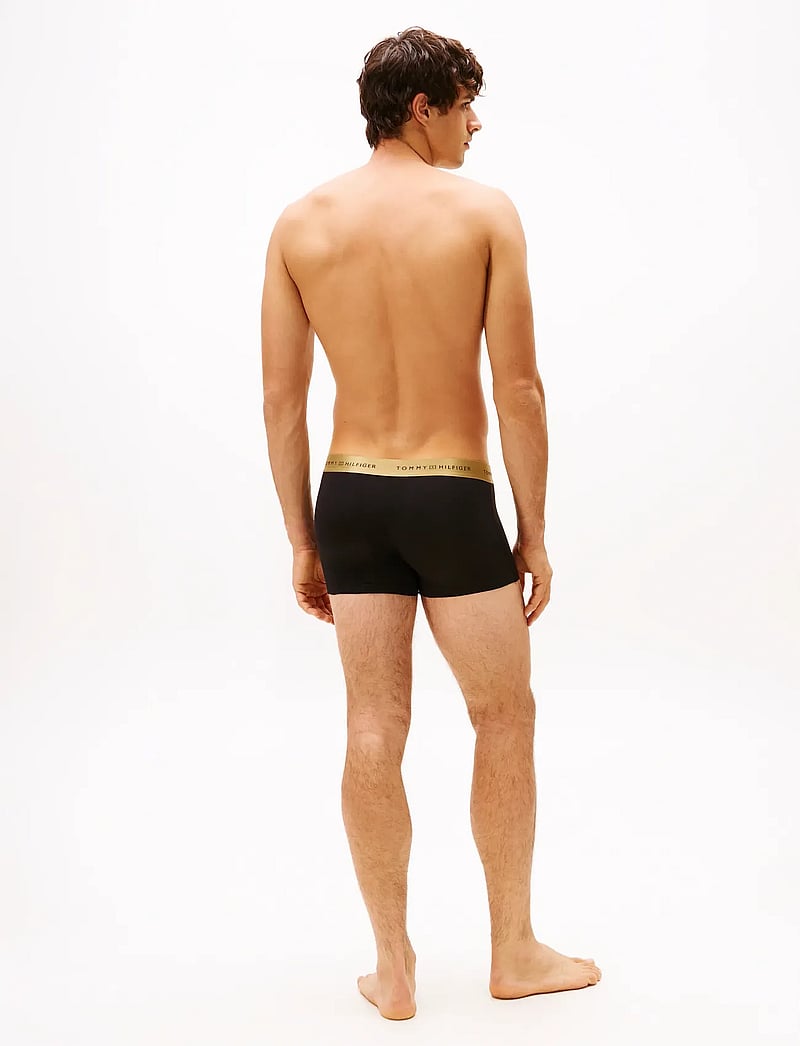 Tommy Hilfiger - 3P TRUNK METALLIC WB - multipack underbukser - gold/gold/gold - 4