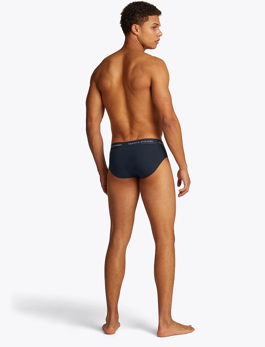 Tommy Hilfiger - 3P BRIEF WB - multipack underbukser - des sky primary red white - 2