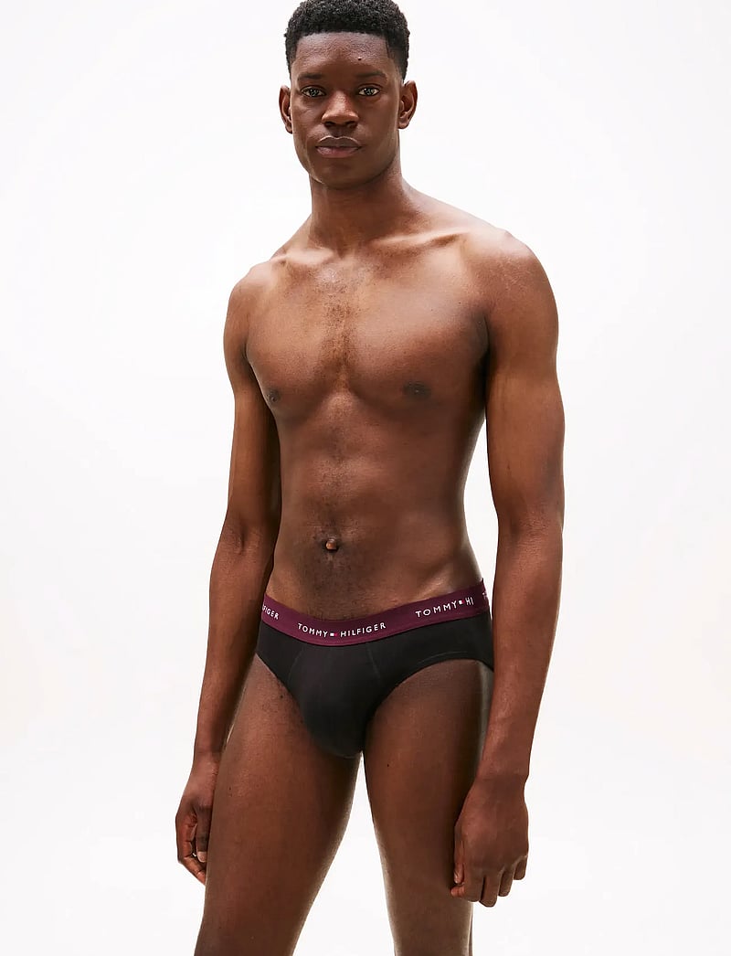 Tommy Hilfiger - 3P BRIEF WB - multipack underbukser - dp brg/blu com/des sky - 5