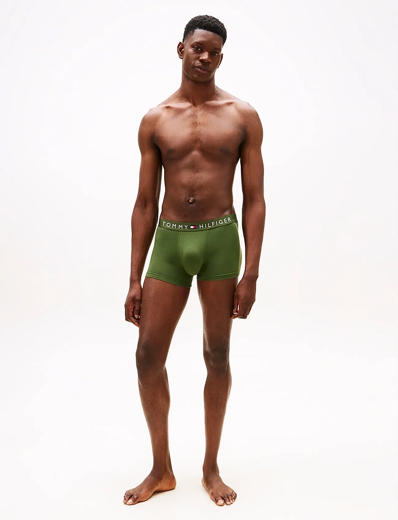 Tommy Hilfiger - 5P TRUNK WB - multipack underbukser - mnt pne/oat hth/ar gr/hghlnd k/des - 3