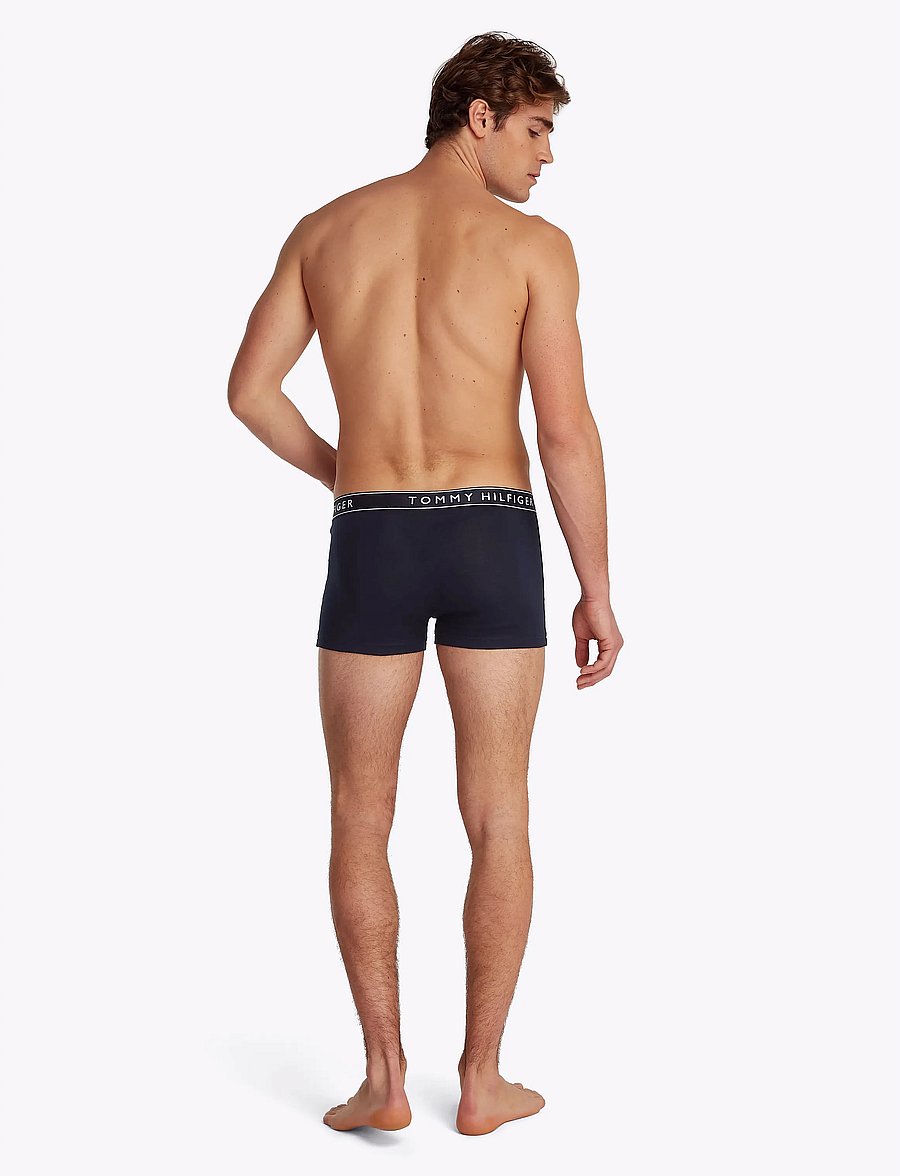 Tommy Hilfiger - 3P TRUNK DTM - unterhosen im multipack - des sky des sky des sky - 2
