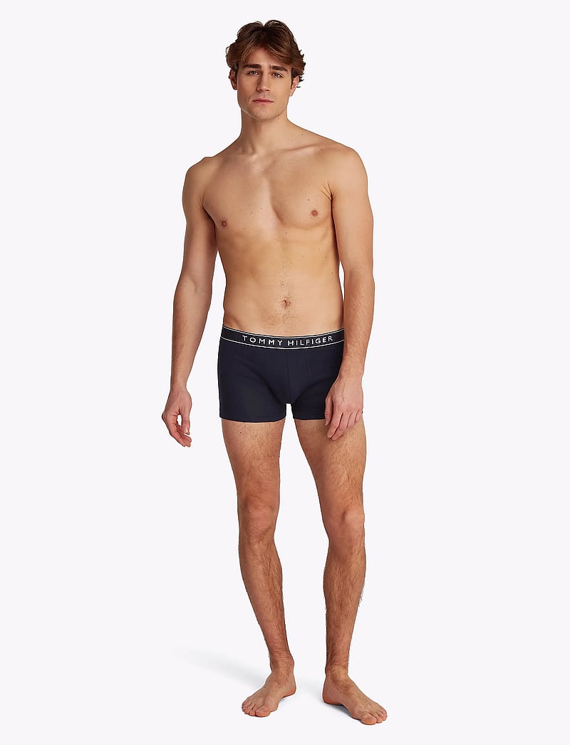 Tommy Hilfiger - 3P TRUNK DTM - unterhosen im multipack - des sky des sky des sky - 3